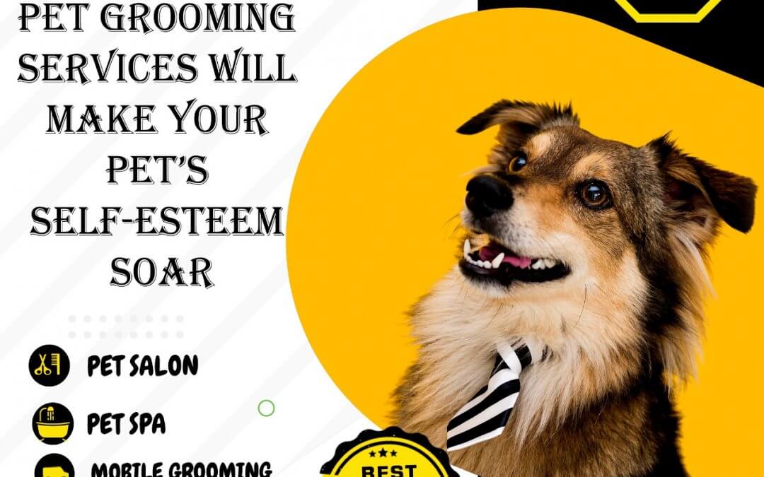 Book JustGroom Dog & Cat Grooming Services in Hyderabad