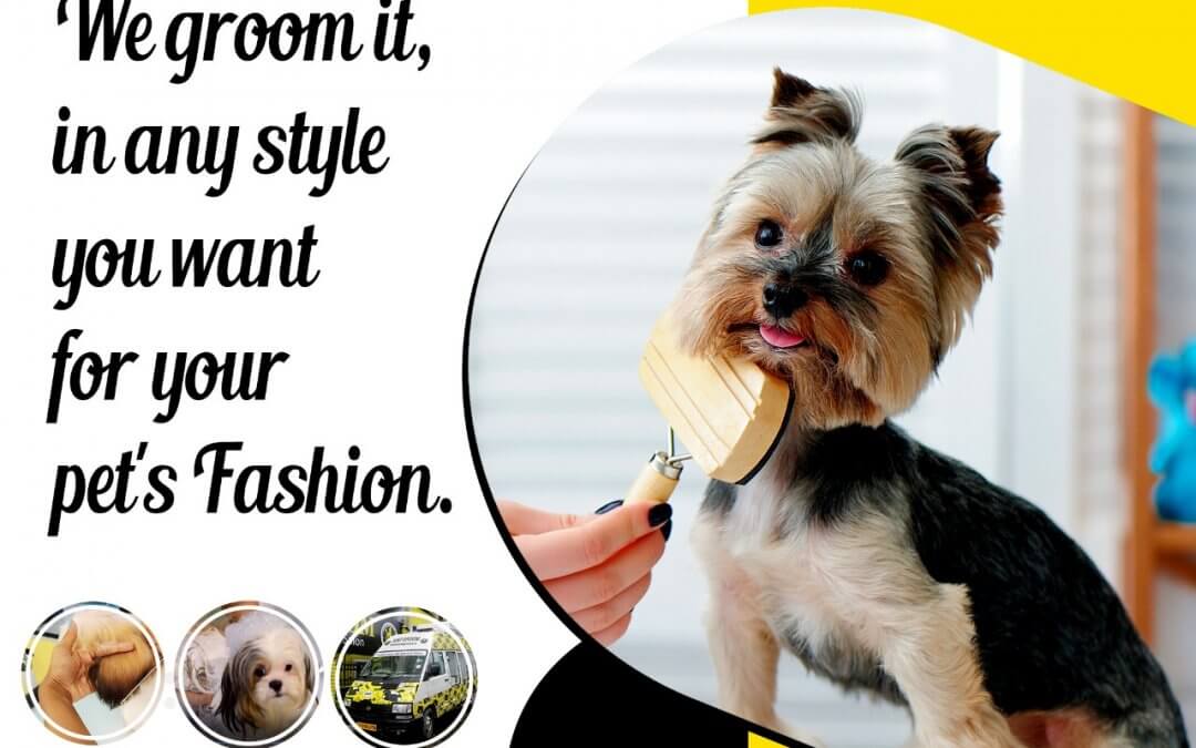 Just Groom Pet Parlour is your one-stop solution for all your Pet needs..!