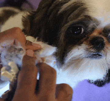 gif-nail-cut (1)