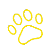 paws